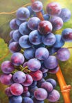Grapes by Heinz Schölnhammer