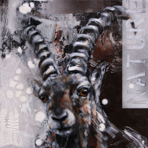 Ibex Native by Ilona-Griss-Schwaerzler